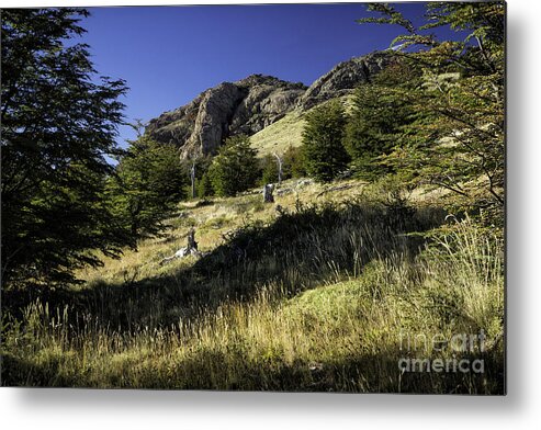 Patagonia Metal Print featuring the photograph Scenic Overlook Patagonia 3 by Timothy Hacker