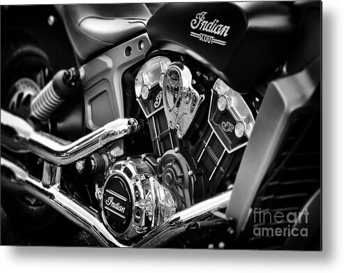 2015 Metal Print featuring the photograph Scout by Tim Gainey