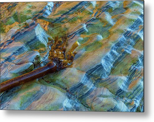 Landscape Metal Print featuring the photograph Sea-Art by Jonathan Nguyen