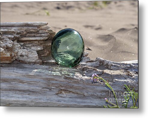 Denise Bruchman Metal Print featuring the photograph Sea Baubles by Denise Bruchman