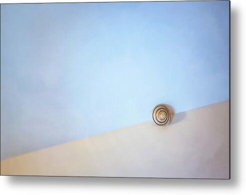 Seashell Metal Print featuring the photograph Seashell by the Seashore by Scott Norris