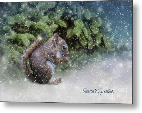 Squirrel Metal Print featuring the photograph Season's Greetings by Eva Lechner