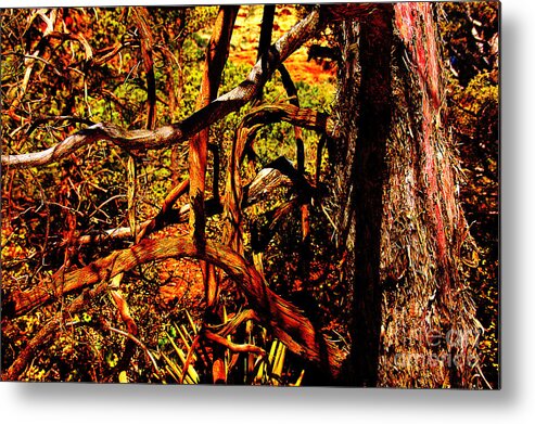 Sedona Branches Metal Print featuring the photograph Sedona Branches by David Frederick