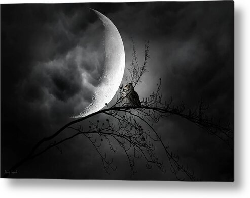 Owl Metal Print featuring the photograph Seer Of Souls by Lourry Legarde