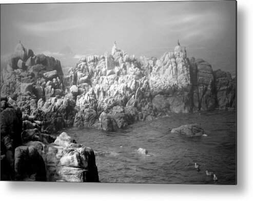Waves Metal Print featuring the photograph Sentinels In The Fog B And W by Joyce Dickens
