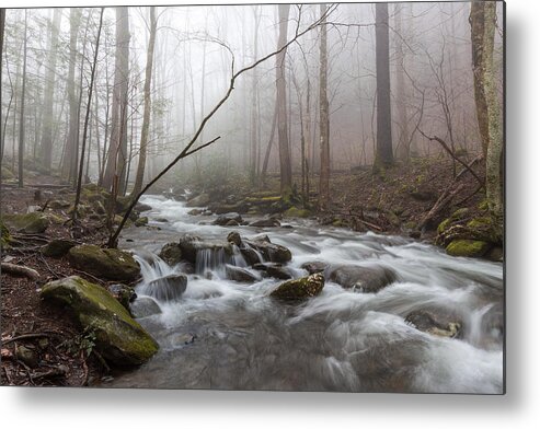 River Metal Print featuring the photograph Serene Repose by Everet Regal