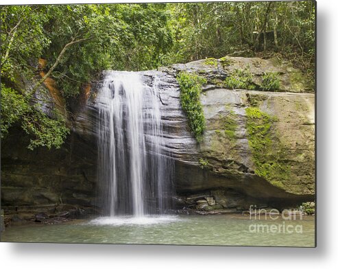 Waterfall Metal Print featuring the photograph Serenity Falls by Carole Lloyd