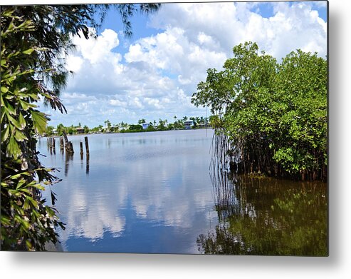 Mangroves Metal Print featuring the photograph Serenity in Matlacha Florida by Timothy Lowry