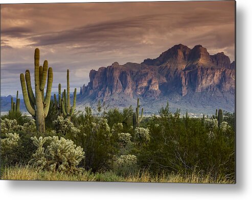 Superstition Mountains Metal Print featuring the photograph Serenity of the Sonoran by Saija Lehtonen