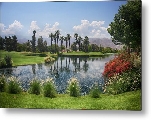 Palm Desert Metal Print featuring the photograph Settling In by Laurie Search