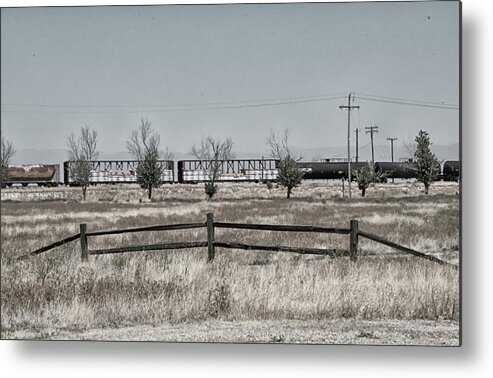 Desert Metal Print featuring the photograph Seven Trees and a train by Jessica Levant