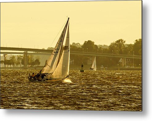 Color Metal Print featuring the photograph Severn River Sailing -1 by Alan Hausenflock