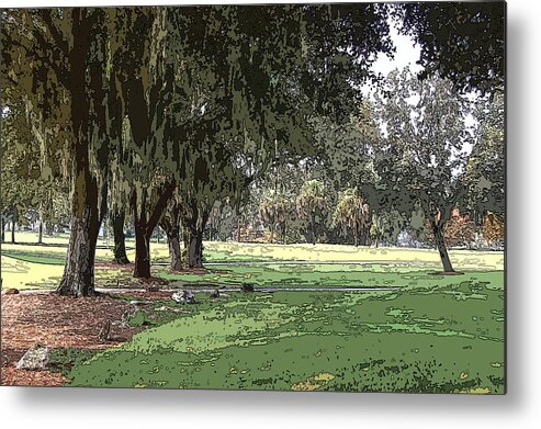 Landscape Metal Print featuring the photograph Shady Grove by James Rentz