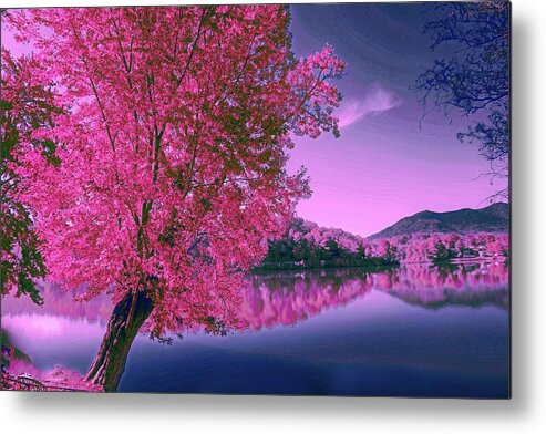 Landscape Metal Print featuring the photograph Shangrila by Dennis Baswell