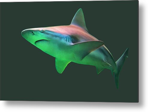 Shark Metal Print featuring the photograph Shark on the Prowl - Perfect Predator of the Deep by Mitch Spence