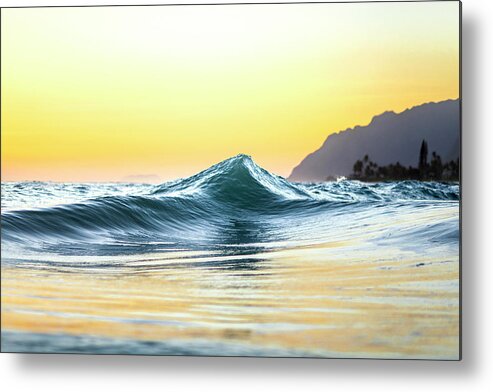 Sea Metal Print featuring the photograph Shark Tooth by Sean Davey