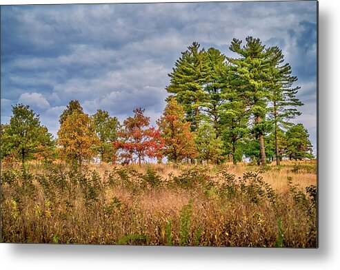 Midwest Metal Print featuring the photograph Shaw Nature Reserve 7R2_DSC2560_10242017 by Greg Kluempers