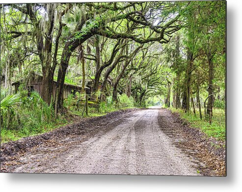 Beaufort Metal Print featuring the photograph Sheep Farm on Witsell Rd by Scott Hansen