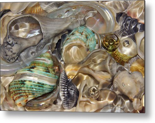 Shells Metal Print featuring the photograph Shell Fluidity by Leda Robertson