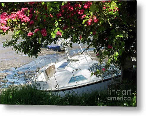 Mylor Creek Metal Print featuring the photograph Shindilla Framed with Flowers by Terri Waters