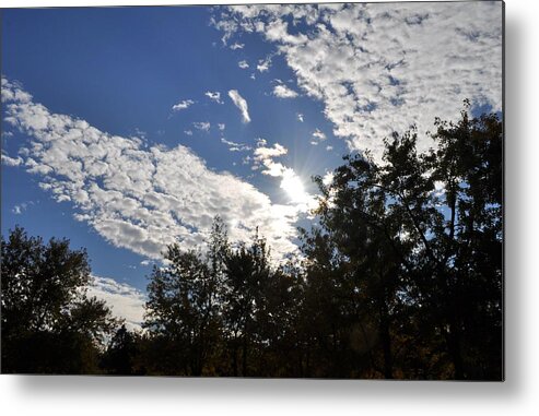 Sunny Sky Metal Print featuring the photograph Shine and Smile by Georgeta Blanaru