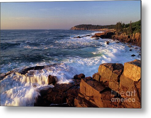 Acadia Metal Print featuring the photograph Shoreline at Acadia National Park, Maine by Kevin Shields