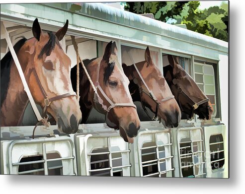 Horse Metal Print featuring the photograph Show Horses On The Move by Wilma Birdwell