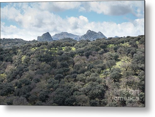 Sierra Metal Print featuring the photograph Sierra Ronda, Andalucia Spain by Perry Rodriguez