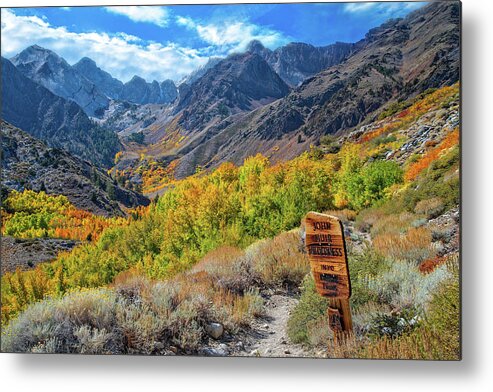 Fall Metal Print featuring the photograph Signs of Grandeur by Lynn Bauer