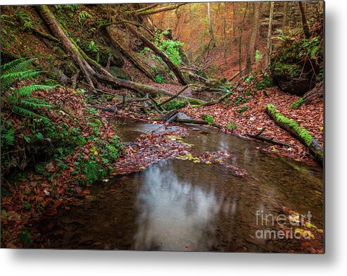 Autumn Metal Print featuring the photograph Silent Glowing Fall by Hannes Cmarits