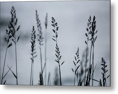 British Columbia Metal Print featuring the photograph Silhouette by Ryan Heffron