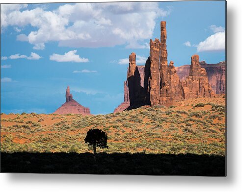 Monument Valley Metal Print featuring the photograph Silhouetted Tree at Monument Valley by Mary Lee Dereske