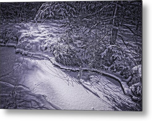 Winterscapes Metal Print featuring the photograph Silver Brook in Winter by Gary Shepard