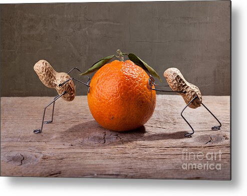 Peanut Metal Print featuring the photograph Simple Things - Antagonism by Nailia Schwarz