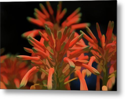 Aloe Metal Print featuring the photograph Simply Soft Aloe Flower by Aimee L Maher ALM GALLERY