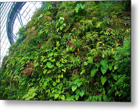 Singapore Metal Print featuring the photograph Singapore Cloud Forrest 12 by Phyllis Spoor