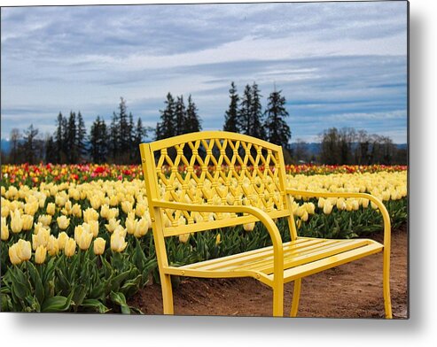 Tulip Metal Print featuring the photograph Sit And Enjoy by Brian Eberly