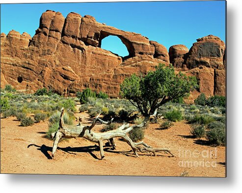 Arches National Park Metal Print featuring the photograph Skyline Arch by Fred Stearns