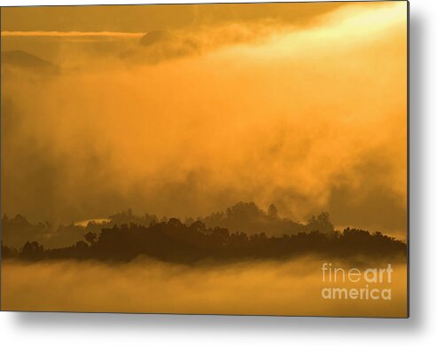 Sunrise Metal Print featuring the photograph sland in the Mist - D009994 by Daniel Dempster