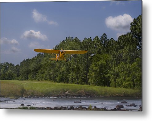 Cub Metal Print featuring the photograph Slow And Low by Steven Richardson