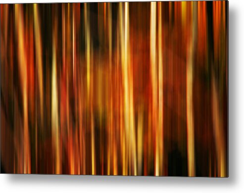 Abstracts Metal Print featuring the photograph Smoky Mountains Fall Colors Digital Abstracts Motion Blur by Rich Franco