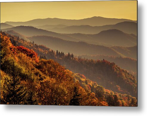 Clingmans Dome Metal Print featuring the photograph Smoky Mountains in the Morning by Teri Virbickis