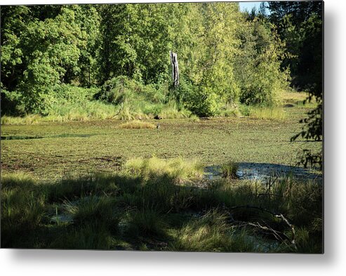 Snag And Heron Metal Print featuring the photograph Snag and Heron by Tom Cochran