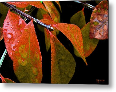 Autumn Metal Print featuring the digital art Snippet of Fall by RC DeWinter