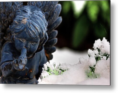 Angel Metal Print featuring the photograph Snow Angel Whisperer by Shelley Neff