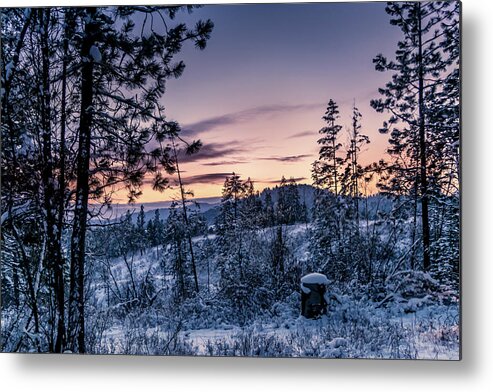 Photograph Metal Print featuring the photograph Snow Coved Trees and Sunset by Lester Plank