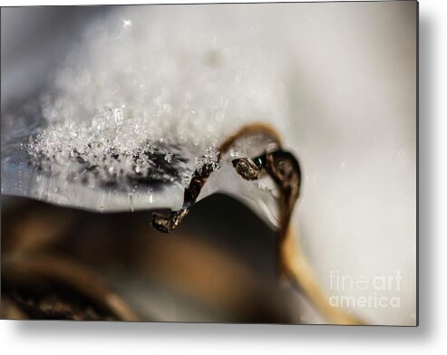 Winter Metal Print featuring the photograph Snow Cryrstals by JT Lewis