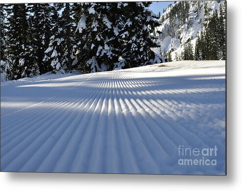 Clay Metal Print featuring the photograph Snow is Groovy Man by Clayton Bruster