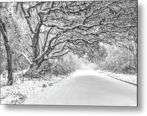 Snow Metal Print featuring the photograph Snow On Witsell Rd - Oak Tree by Scott Hansen