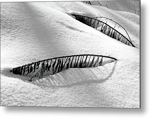 Snow Metal Print featuring the photograph Snowbound by Debbie Oppermann